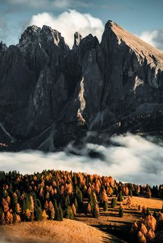 the mountains are covered in clouds and trees