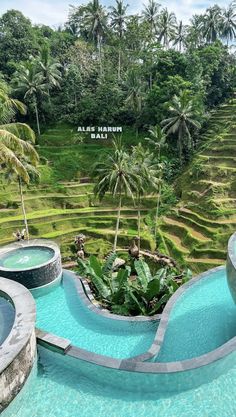 an outdoor swimming pool surrounded by lush green fields and palm trees in the background,