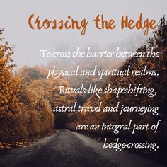 a road surrounded by trees with the words crossing the hedge