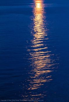 the full moon is reflected in the water at night, as it rises above the horizon