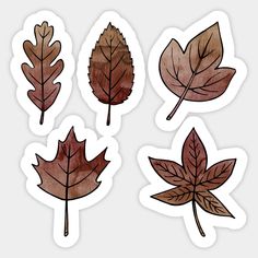 four different leaves stickers on a white background, one is brown and the other is red