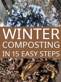 winter composting in 15 easy steps