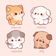 four different types of dogs and cats with the names in english, chinese, and japanese