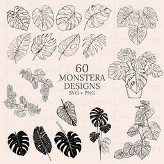 monstera leaves and other tropical plants with the text,'60 monstera designs svg