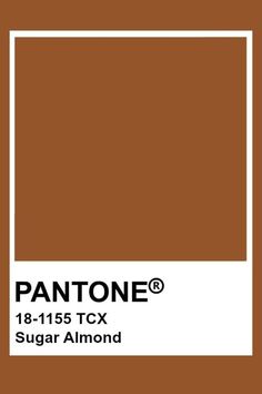 the pantone color is brown and has a white rectangle on top of it