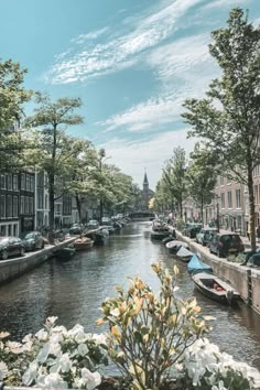 boats are lined up along the side of a canal with buildings and trees on both sides