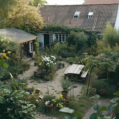 the garden is full of potted plants and flowers