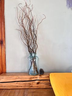 a vase with branches in it sitting on a wooden shelf next to a pine cone