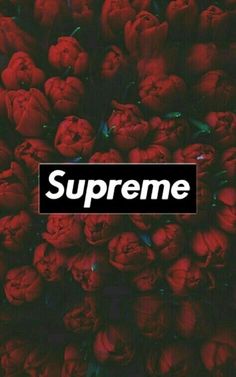 a bunch of red flowers with the words supreme on it's bottom corner in front of them