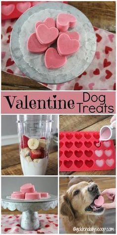 valentine's day treats for dogs, including cookies and cupcakes with hearts on them