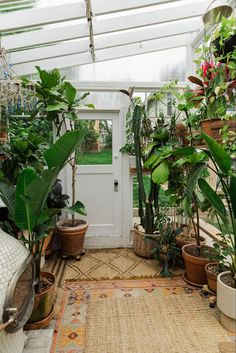 a room filled with lots of potted plants next to a white door surrounded by greenery