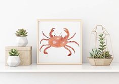 a painting of a crab on a shelf next to succulents