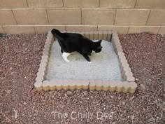 a black and white cat standing on top of a dog bed in the gravel next to a brick wall