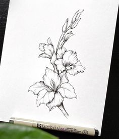 a pencil drawing of a flower on paper