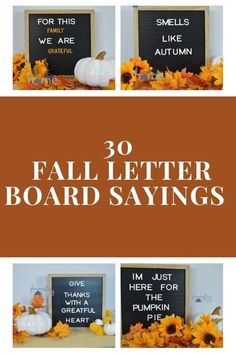 fall letter board sayings with pumpkins and sunflowers