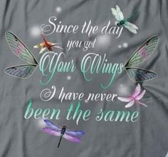 a t - shirt that says, since the day you got four wings i have never been