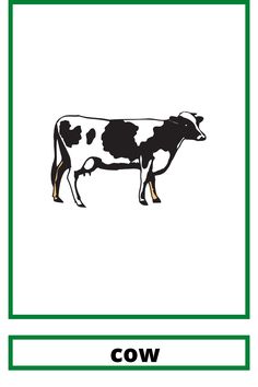 a black and white cow standing in front of a green frame with the word cow below it