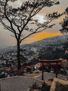 a small red gate sitting on top of a hill next to a tall pine tree