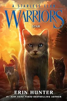 a book cover for warriors star