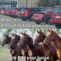 four horses are standing in front of a row of parked cars and the words, when it's difficult to find your car yet easy to find your horse