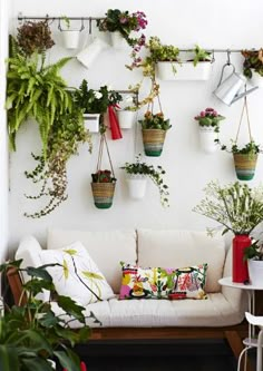 a living room filled with lots of plants and potted plants hanging on the wall