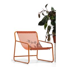 an orange chair next to a potted plant