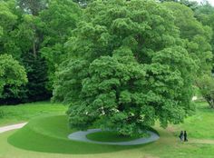 two people sitting under a large tree in the middle of a green field with trees