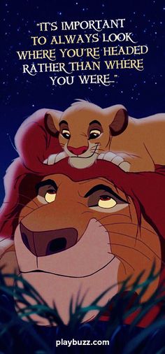 the lion king and cub from disney's live - action movie