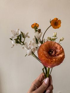 a hand holding a bouquet of flowers with orange and white blooms in the center on a table