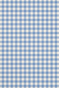 a blue and white gingham checkered fabric