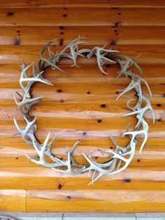 antlers are arranged in the shape of a circle on a wood paneled wall