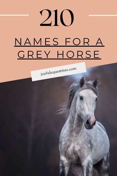 a white horse with the words, name for a grey horse