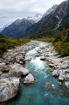 a river running through a lush green valley