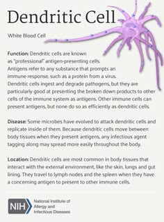 an info sheet describing the benefits of dendritic cell and how to use it