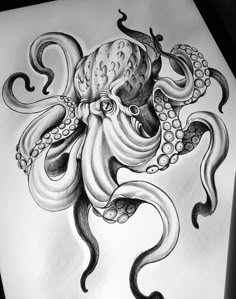 an ink drawing of an octopus with tentacles on it's back and head in the middle