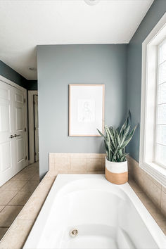 a bathroom with a large white bathtub next to a plant in a vase on the counter