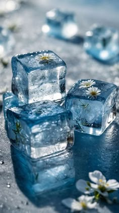 four ice cubes with flowers on them are sitting on the ground next to water