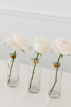 four small vases with white roses in them