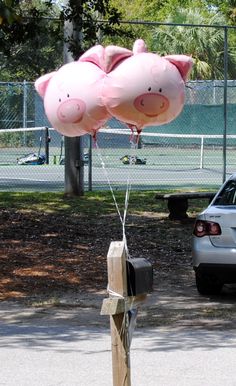 two pink pig balloons are tied to a post in front of a parking lot and fence