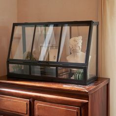 a busturine in a glass case sitting on top of a wooden dresser next to a window