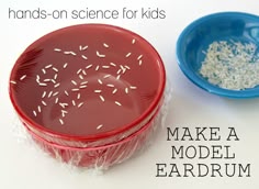 two bowls with rice in them and the words hands - on science for kids make a model bardrum