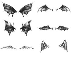 some black and white drawings of bats on a white background, each with different wings