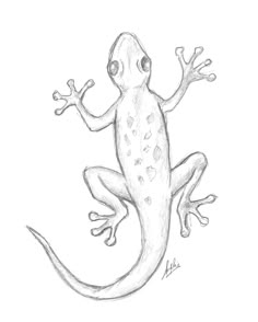 a drawing of a gecko sitting on the ground