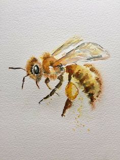 a watercolor painting of a bee on white paper