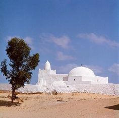 a white building with a tree in the foreground