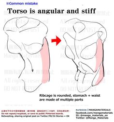 the diagram shows how to use different types of muscles