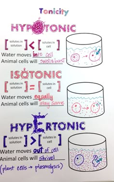 a poster with instructions on how to use hyponics in water and animals