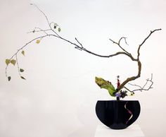 a black vase with branches and flowers in it on a white pedestal against a wall