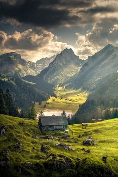 a small house in the middle of a mountain valley with cows grazing on the grass