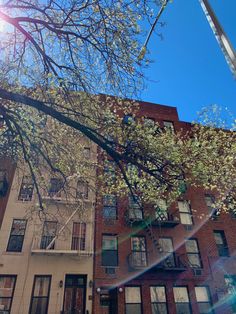 the sun shines brightly on an apartment building with flowering trees in front of it